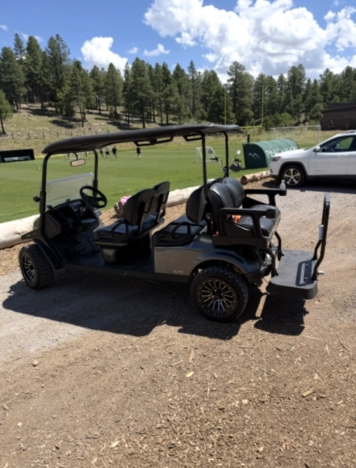 Commercial rental cart 1